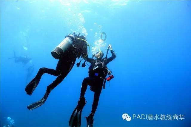 逃出绿色公寓